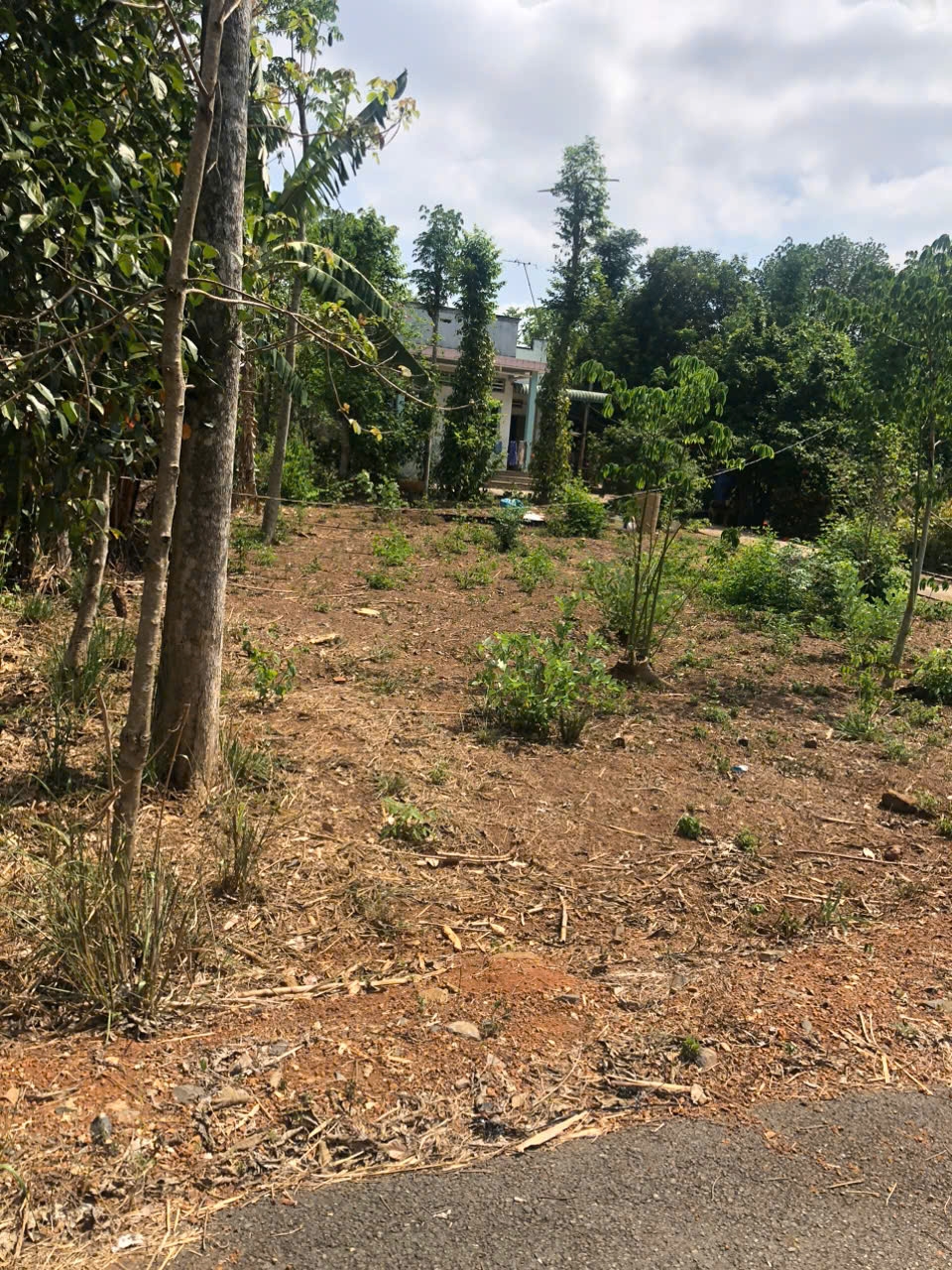ban-dat-mat-tien-duong-nhua-ngay-canh-ql56-bau-chinh-chau-duc-4354020-anh-4