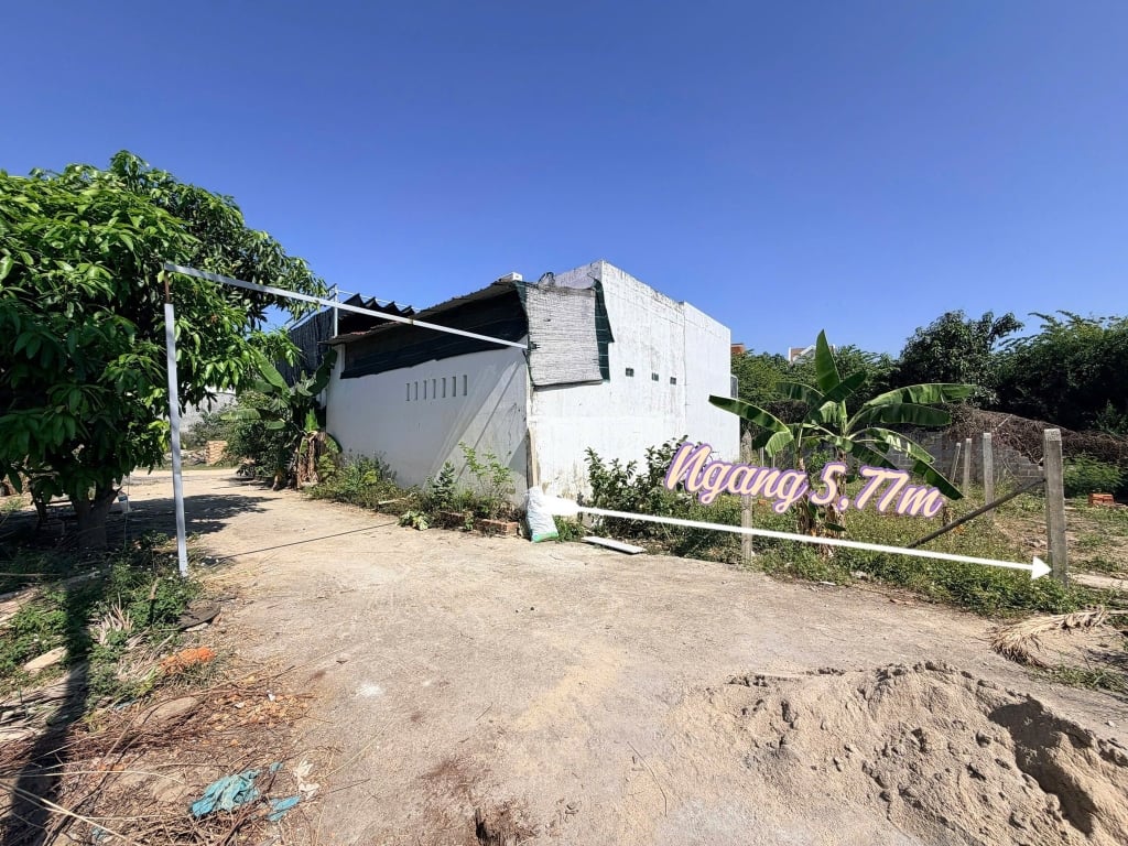 vt121-ban-dat-duong-quy-dong-phuong-tay-nha-trang-vinh-thanh-4358153-anh-5
