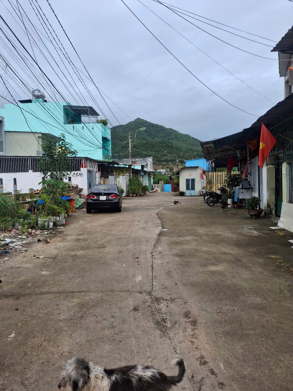 Bán đất đường 5m, ngang 11m, giá 9 tỷ